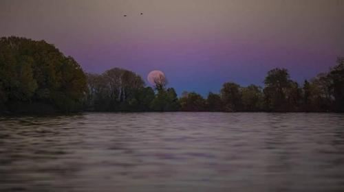 seafishing-france-img-210524
