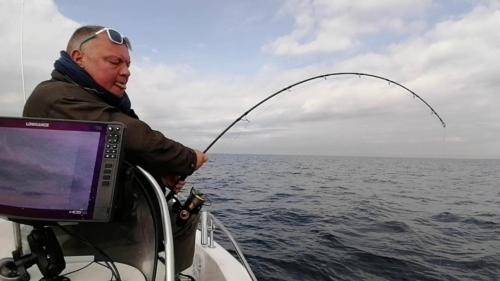 VID 20201019 121753-1